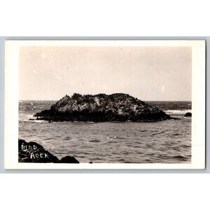 Vintage Real Photo Postcard RPPC Bird Rock Ocean Scene Monochrome Unused #1504